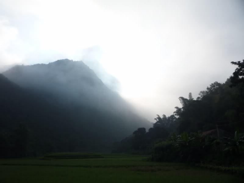 P1010800800x600.jpg