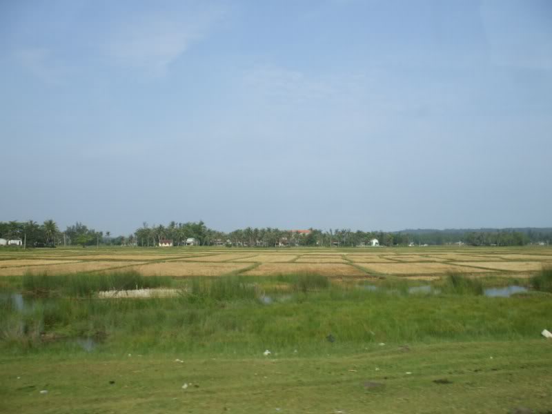 DSCF6650.jpg