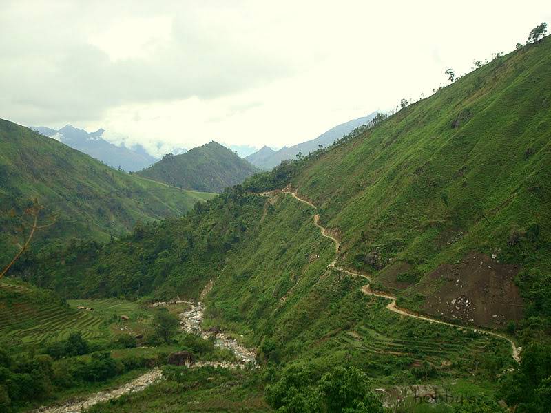 DSC08074-1.jpg