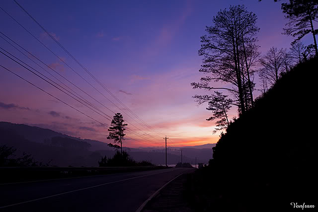 _MG_2379.jpg