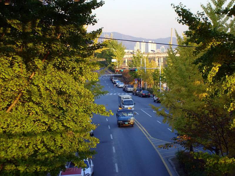 STP61917.jpg