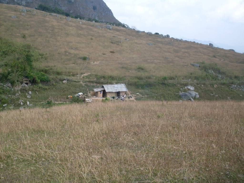 SDC10615.jpg
