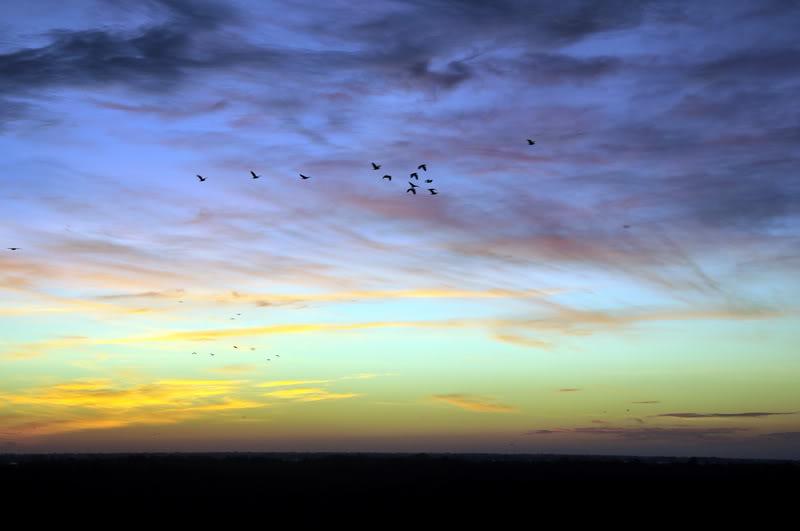 DSC_4035_resize.jpg