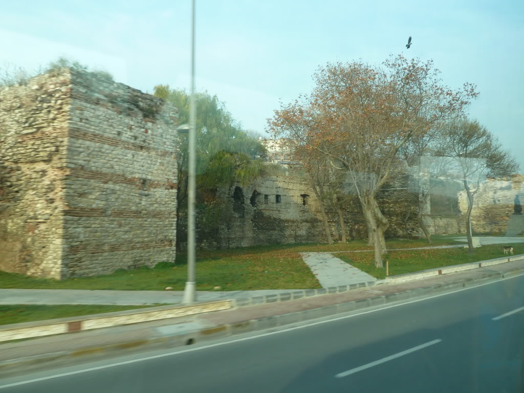 L1020622.jpg