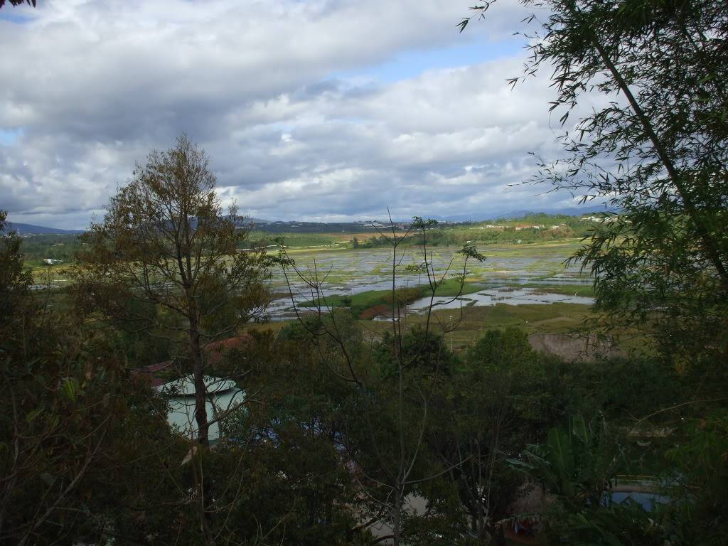 DSCF3425.jpg