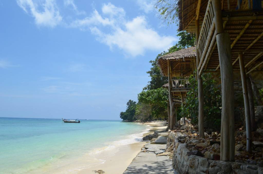 DSC_2000.jpg