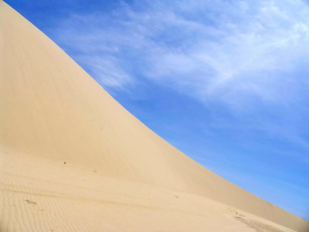 _MG_8576.jpg