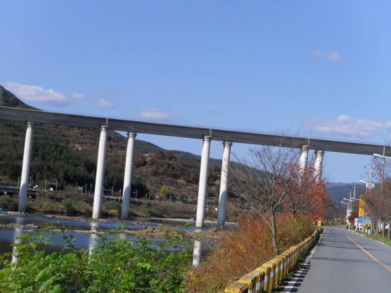 SDC10020.jpg