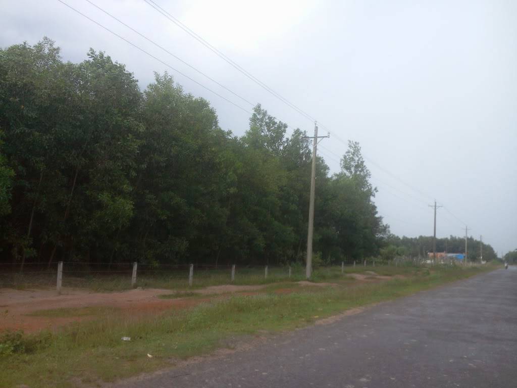 Photo0972.jpg