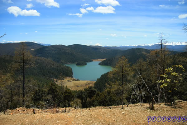 shangri-la272.jpg