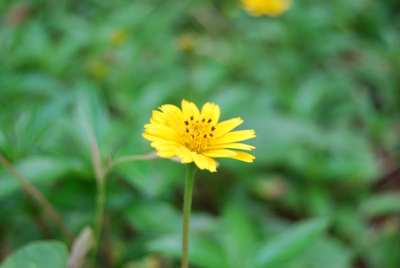 DSC_0148.jpg