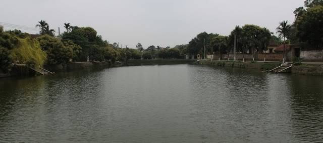 IMG_9978.jpg