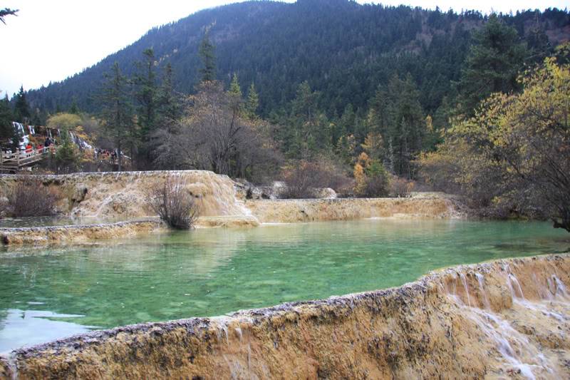 hoanglong203.jpg