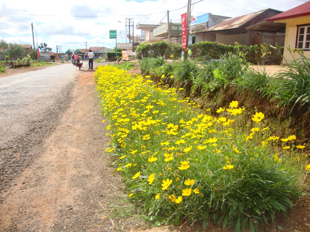 langbiang13.jpg