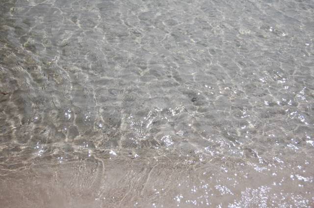 DSC_0682.jpg