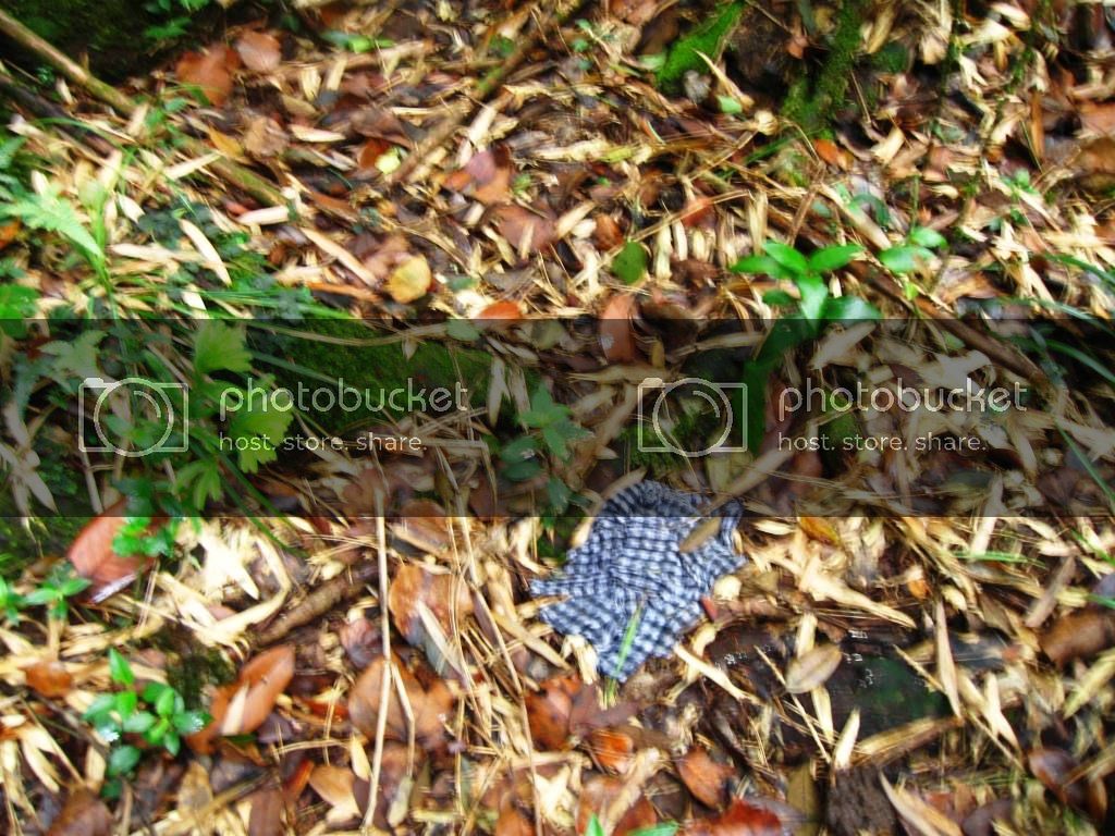 IMG_1453.jpg