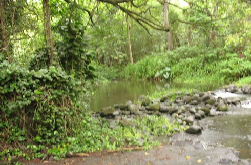 3005233458_d77f8f4605_o.jpg