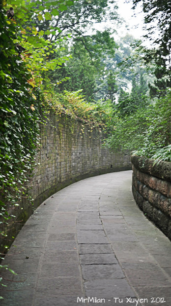 P1050446.jpg