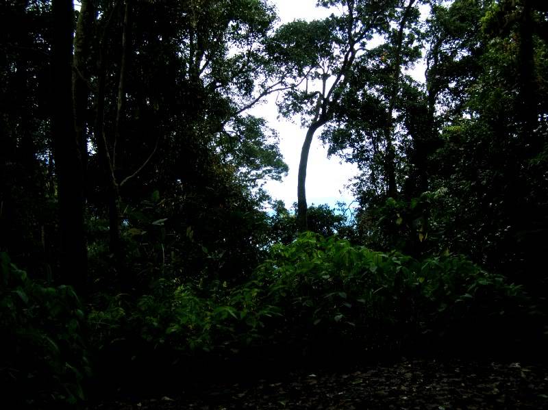 P7260207.jpg