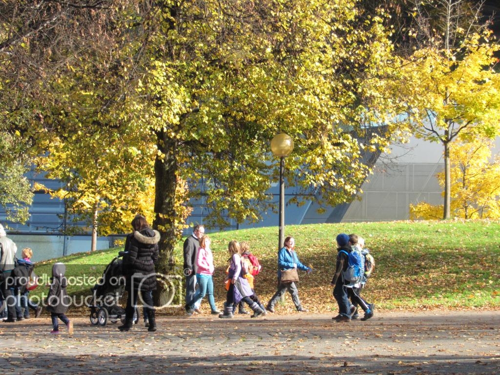 IMG_9575_zpsd2a98e7a.jpg