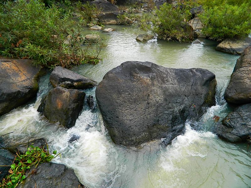 DSCN1887.jpg