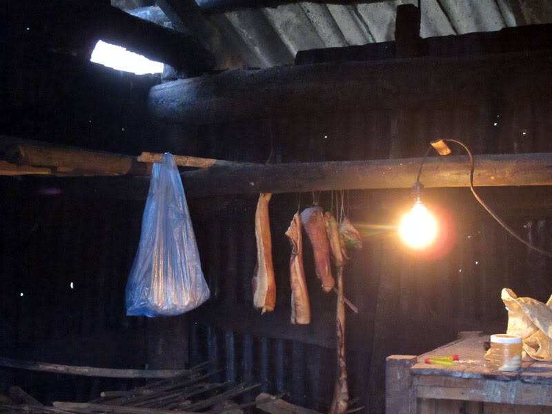 HongNgai2011481.jpg