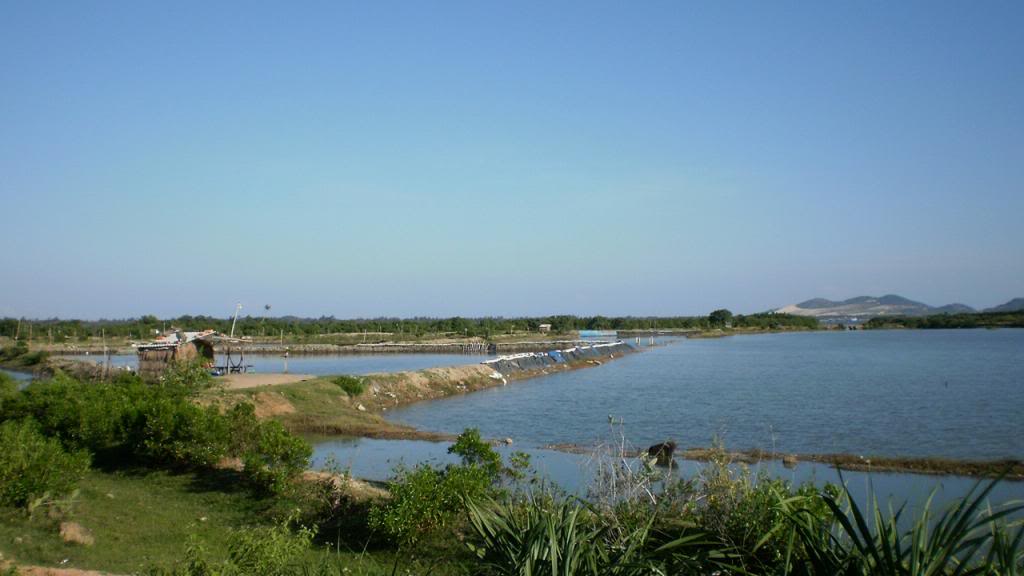257.jpg