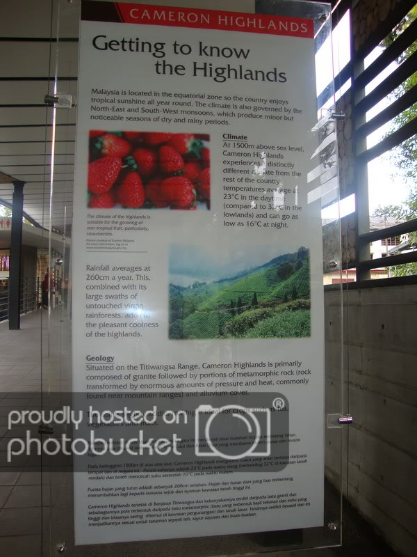 DSC03063_resize.jpg