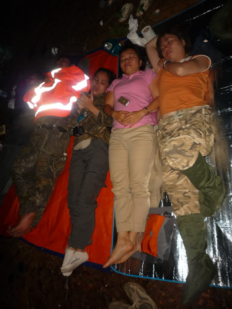 P1060311.jpg