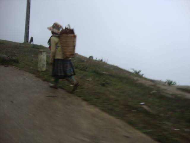 DSC06457.jpg