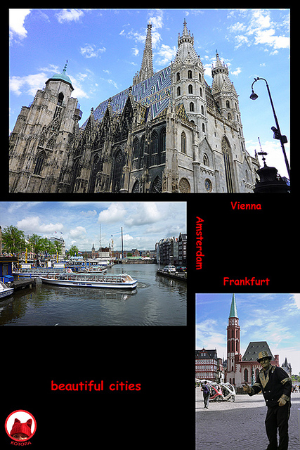8740536723_aafcc878cb_z.jpg