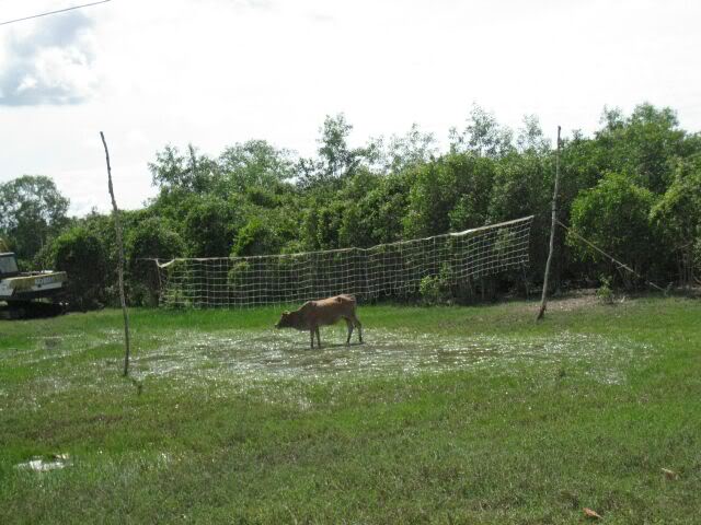 IMG_2860.jpg
