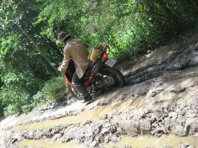 IMG_0243.jpg