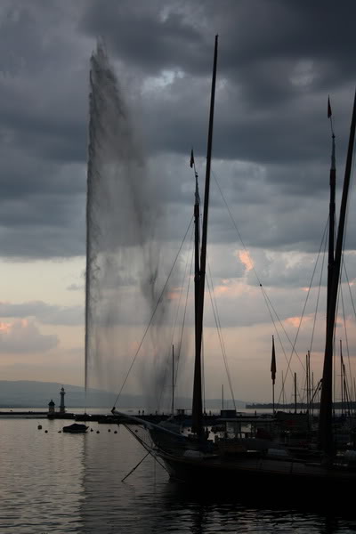 IMG_7895.jpg