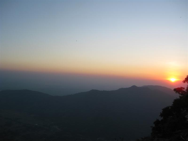 IMG_2709Medium.jpg