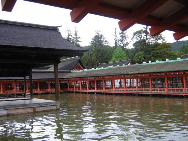 IMG_0994_resize.jpg