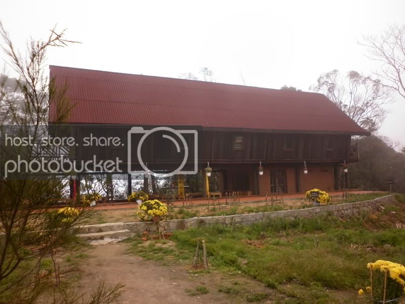 P1000715.jpg