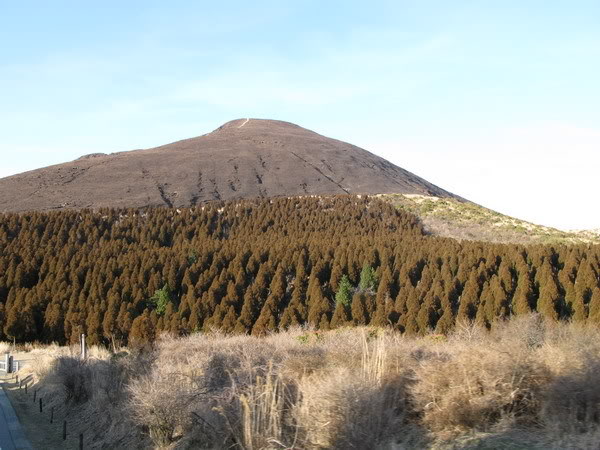 IMG_1166_resize.jpg