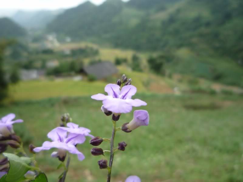 P1020397800x600.jpg