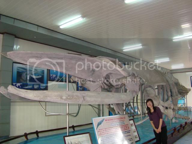 DSC00401.jpg