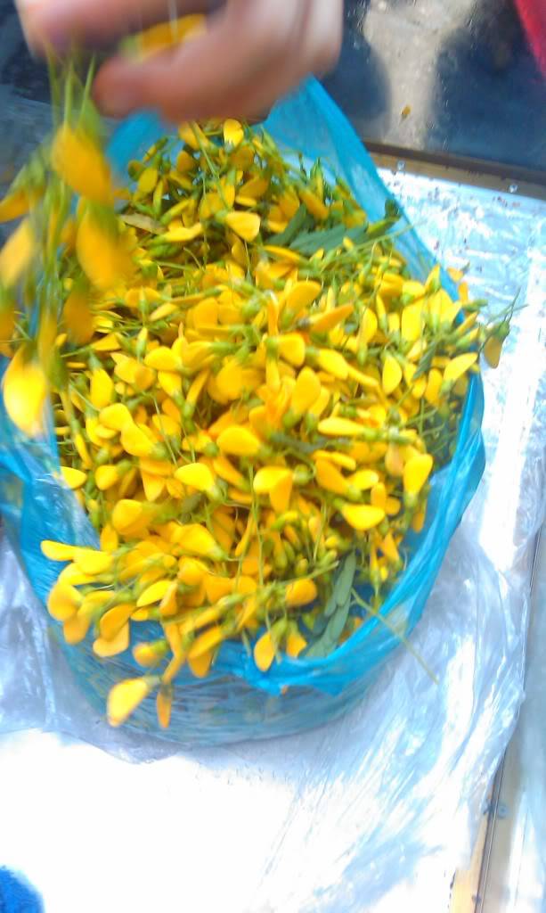 IMAG0113.jpg