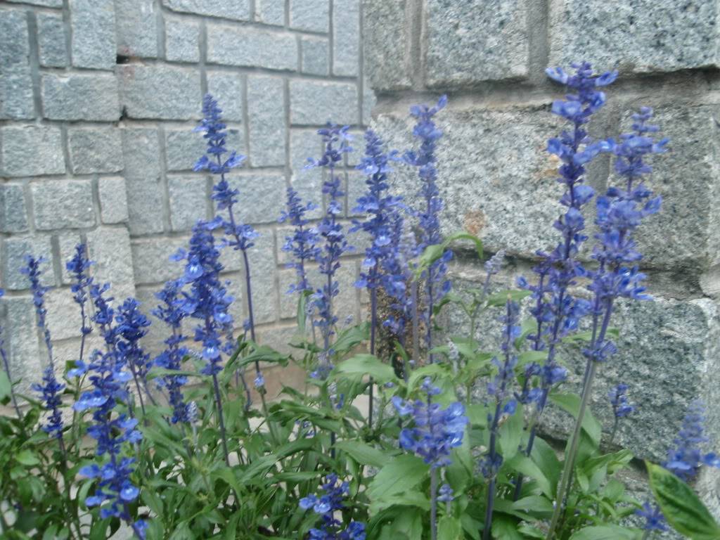 P1014336.jpg