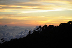 4476065336_ff5428c989_m.jpg