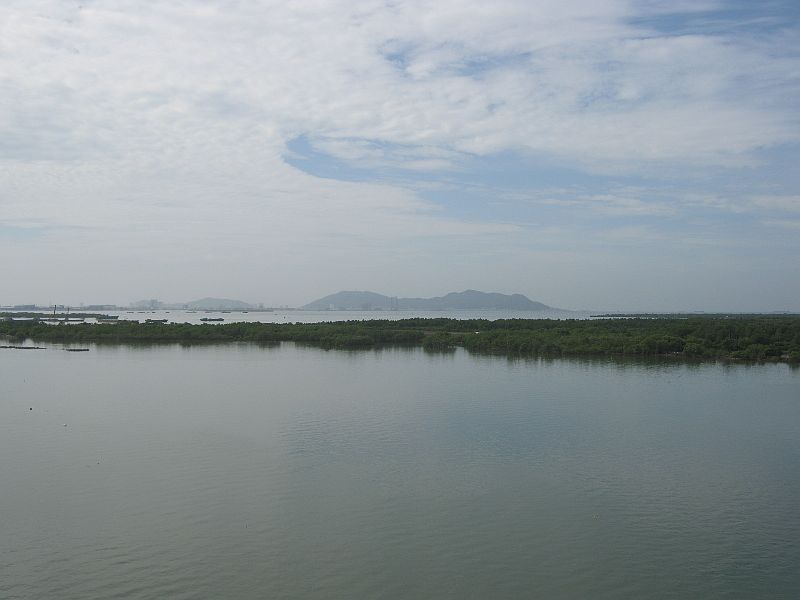 IMG_8635.jpg