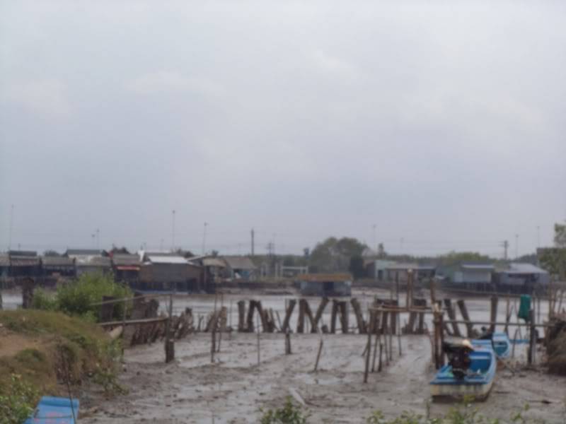 DSC00432.jpg