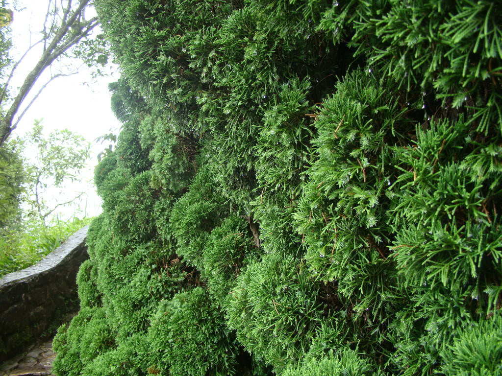 DSC09502.jpg