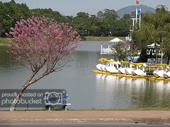 3267590815_6cc6162905_m.jpg