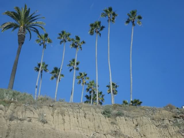DSC08385.jpg