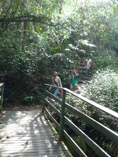 P1100279.JPG