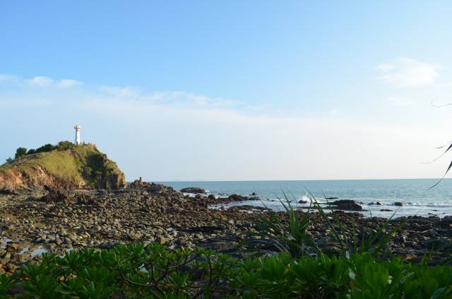 DSC_2333.jpg